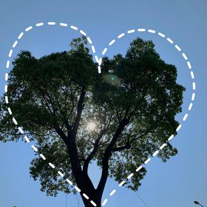 春野樱的色情诱惑
