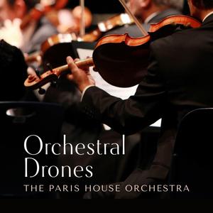 春野樱的色情诱惑
