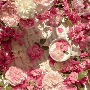 春野樱的色情诱惑
