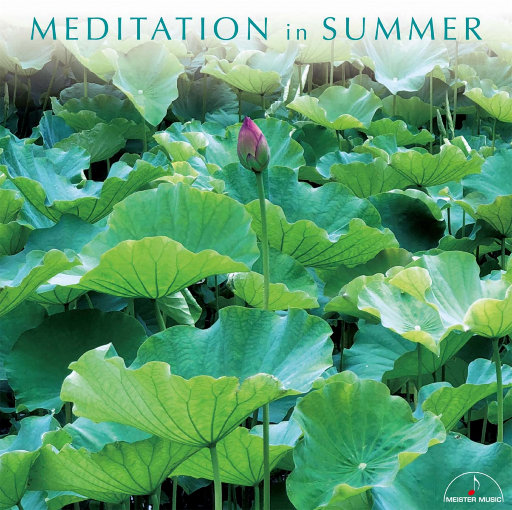 春野樱的色情诱惑
